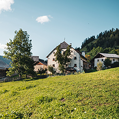 Lüch Colz 