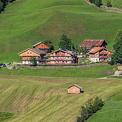 Residence Rosarela